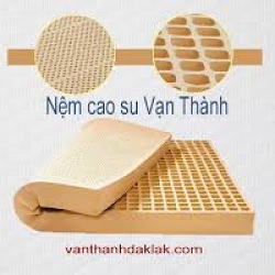 nem-van-thanh-003